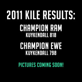 Kuykendall Montadale Winners