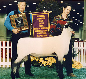 Winners
