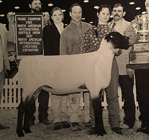 Winners