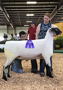 Kuykendall Winners