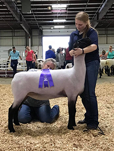 Kuykendall Winners