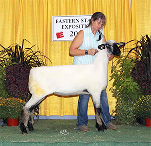 Kuykendall Winners