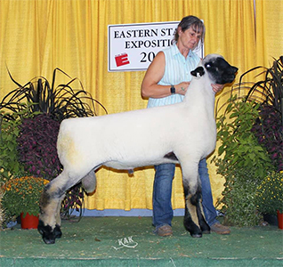 Kuykendall Winners