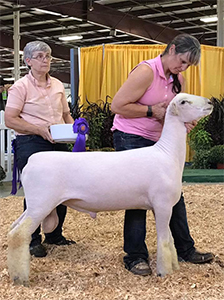 Kuykendall Winners