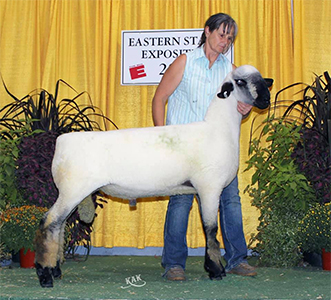 Kuykendall Winners