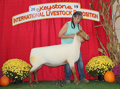 Kuykendall Winners