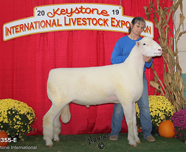 Kuykendall Winners